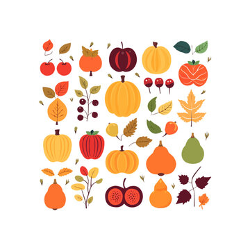 Autumn vector set of bright colourful fall leaves, pumpkins, berries, apple, acorn and chestnut in flat minimal style
