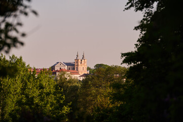 Church in Krasnystaw on the green horizon of trees