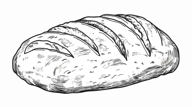 Outline illustration vector image of a bread. Hand dr