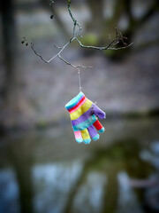 A lost child's glove hangs on a branch.