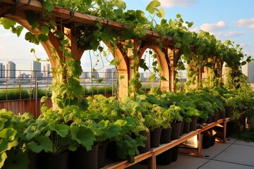 Urban Rooftop Pergolas: Tailored Ideas for Vertical Rooftop Gardening with Climbing Vines