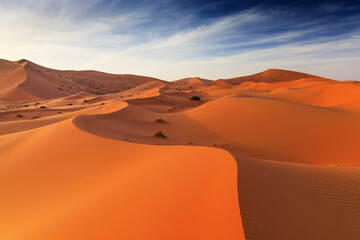 Fototapeta na wymiar The Sahara Desert, Morocco. Sand dunes landscape of the Erg Chebbi, Merzouga.