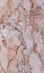 veined marble granite design