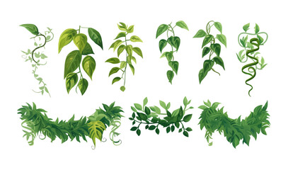 Obraz premium Tropical vines vegetation vector set isolated on white