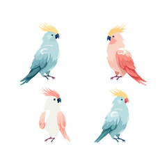 Cockatoo | Minimalist and Simple set of 3 Line White background - Vector illustration