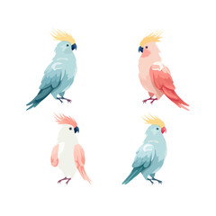 Fototapeta premium Cockatoo | Minimalist and Simple set of 3 Line White background - Vector illustration