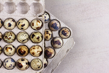 open paper trays with quail eggs on a gray background with a copy space, top view