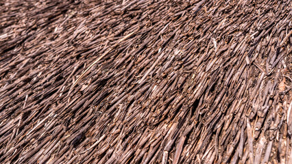 Close up view of reed thatch