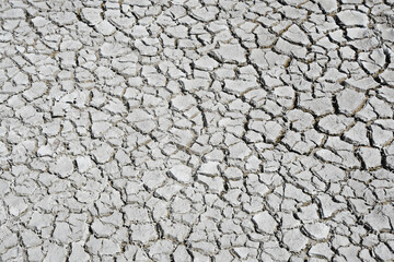 wysuszona i spękana gleba na wyschniętej lagunie w Rio Lagartos w Meksyku