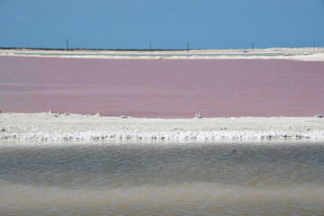 Różowa woda w jeziorze w Rio Lagartos - Meksyk