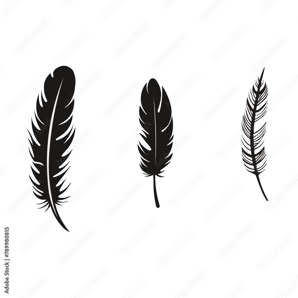 Poster feather | minimalist and simple set of 3 line white background - vector illustration