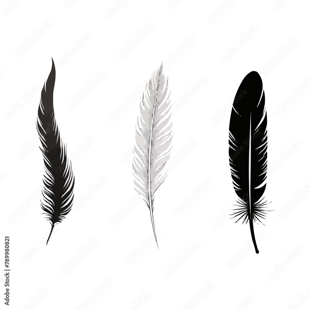 Poster feather | minimalist and simple set of 3 line white background - vector illustration
