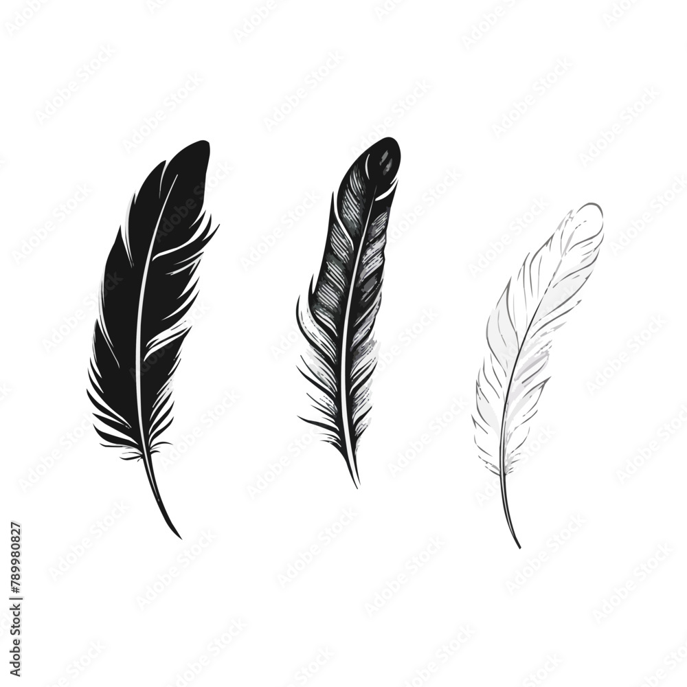 Poster feather | minimalist and simple set of 3 line white background - vector illustration