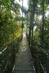 Wiszący most w pobliżu La Fortuna w kostarykańskiej dżungli - obrazy, fototapety, plakaty
