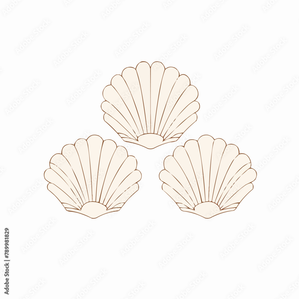 Poster seashell | minimalist and simple set of 3 line white background - vector illustration