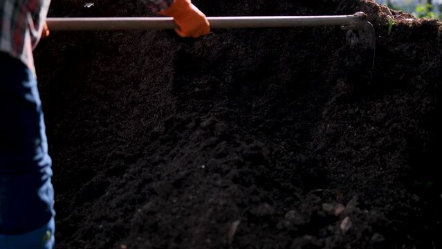 Heaps of leaves make organic compost.