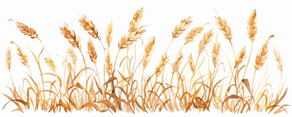 Whole stalks wheat ears spikelets with grains. Design element for bakery or flour. Organic vegetarian farm food vector. vector simple illustration