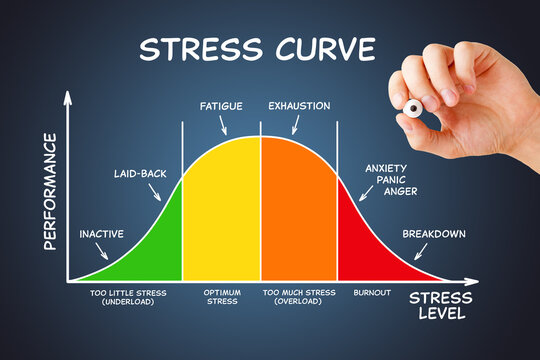 Stress Curve Graph Diagram With Different Stages