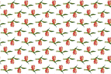 Illustration pattern, Abstract of Flame lily, Climbing lily, Turk's cap flower with leaf on white background.