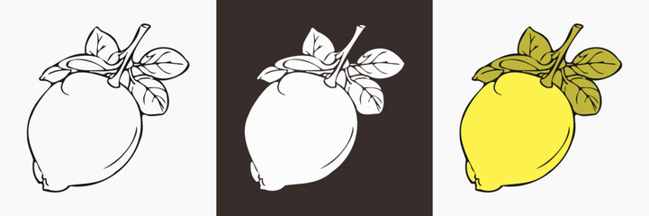 Lemon fruit vector silhouette, food illustration.