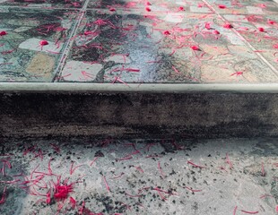 background with flowers on rock pattern ground and stair step pink, pollen of rose apple dropped on the gray cement ground