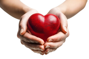 Shiny red heart cradled in caring hands isolated on transparent background
