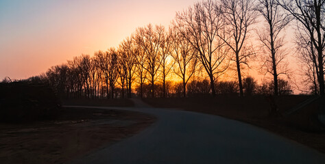 Sunset with tree silhouettes near Plattling, Isar, Deggendorf, Bavaria, Germany