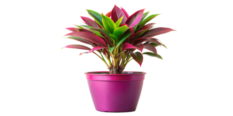 pattern, texture, design, art, water, color, wave, wallpaper, swirl, illustration, gold, waves, curve, blue, paint, seamless, artistic, backdrop, 3d, flow? abstraction, graphics, wallpaper, design, 3D