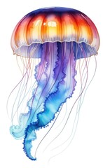 watercolor Illustration of jellyfish with turquoise body, long tentacles isolated on white backdrop.