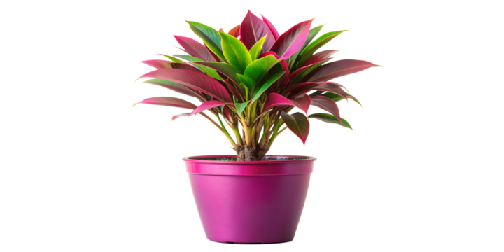 pattern, texture, design, art, water, color, wave, wallpaper, swirl, illustration, gold, waves, curve, blue, paint, seamless, artistic, backdrop, 3d, flow? abstraction, graphics, wallpaper, design, 3D