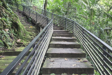 Kediri, Indonesia, 04 April 2024: Close-up view of cement or concrete stairs in the middle of a dense forest overgrown with plants, grass and trees.
