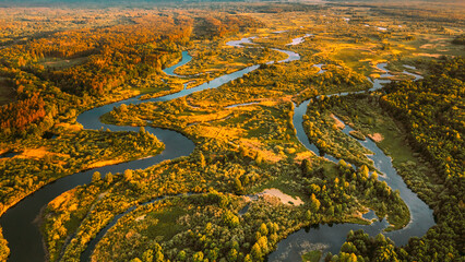 Aerial View Green Forest Woods And River Landscape In Sunny Spring Evening. Top View Of Beautiful European Nature From High Attitude In Summer Season. Drone View. Bird's Eye View.