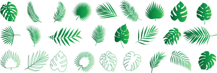 Tropical leaves vector set, green exotic foliage collection, isolated on white, eco friendly nature design elements
