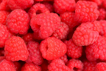 Red raspberry berries. Closeup.