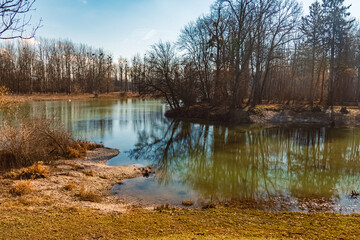 Spring view with reflections near Grieshaus, Moos, Deggendorf, Bavaria, Germany