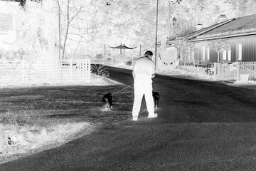 person walking on the road with a dog, nacka,sverige,sweden, Mats