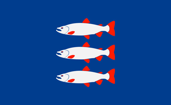Flag Laholm vapen