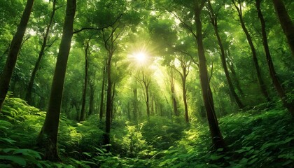 Sunlight filtering through the canopy of a lush gr upscaled 5