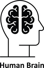  Human brain Vector icon which can easily modify or edit