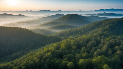 Obraz premium Aerial view of misty forest at misty morning 