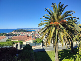 Panorama sur Nice avec un palmier