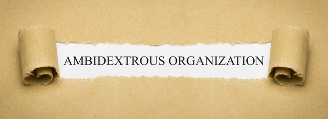 Ambidextrous Organization - obrazy, fototapety, plakaty