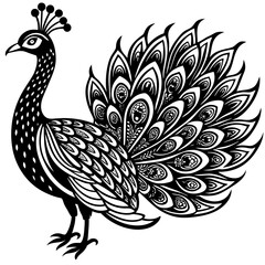 Fototapeta premium Peacock vector silhouette on white background 