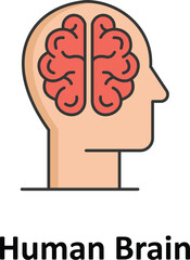 Human brain Vector icon which can easily modify or edit