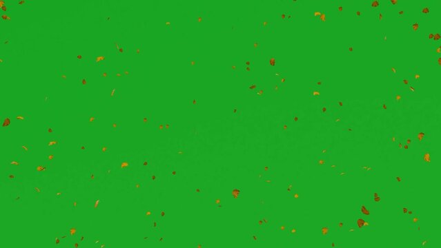 3d animation of forest tree leaves on green screen falling in the wind in ultra high quality chromakey 4k rendering effectsrender animation full hd animated 