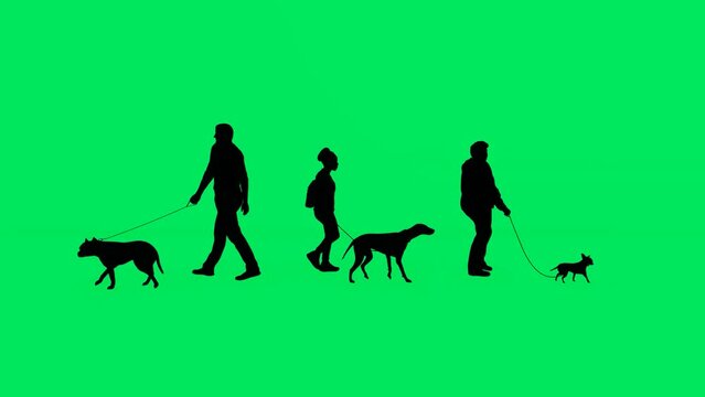 3D several female and male guards, animals and dogs walking with their dog on a green screen background and silhouette and isolated and in the park in several views and chroma 4K render animation 