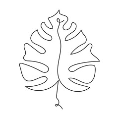 Single line vector illustration of monstera leaf 