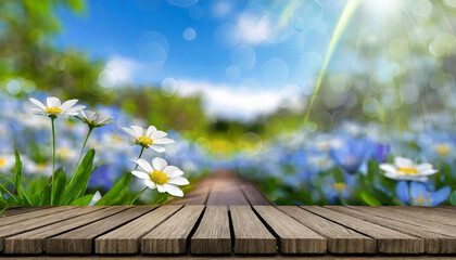 wooden platform, spring, spring landscape, flowers and clouds, colorful landscape, daisies, bokeh