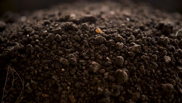 Fertilizer from vermicompost. Organic fertilizer.