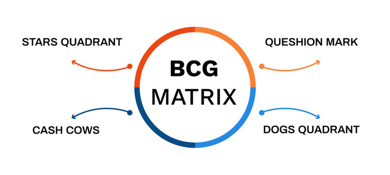 Bcg matrix diagram. Development and product development with management marketing and market diversification growth process vector model